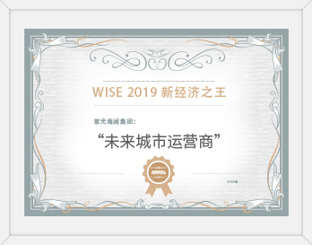 WISE2019新經(jīng)濟之王<br>未來城市運營商