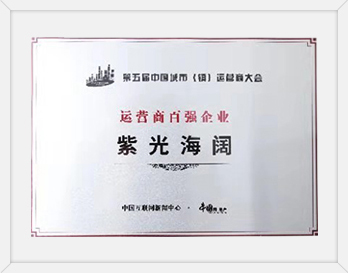 第五屆中國城市（鎮(zhèn)）運營商大會<br>運營商百強企業(yè)